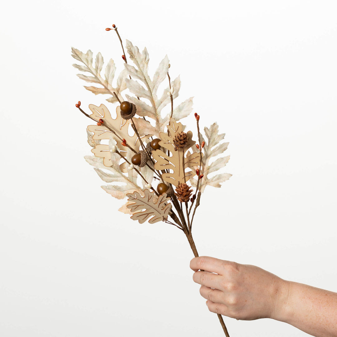 Oak Leaf with Wood Collection