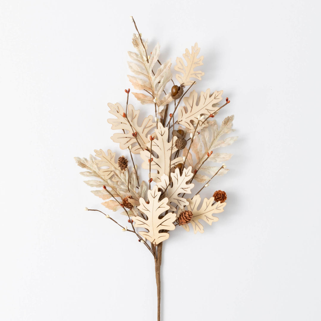 Oak Leaf with Wood Collection