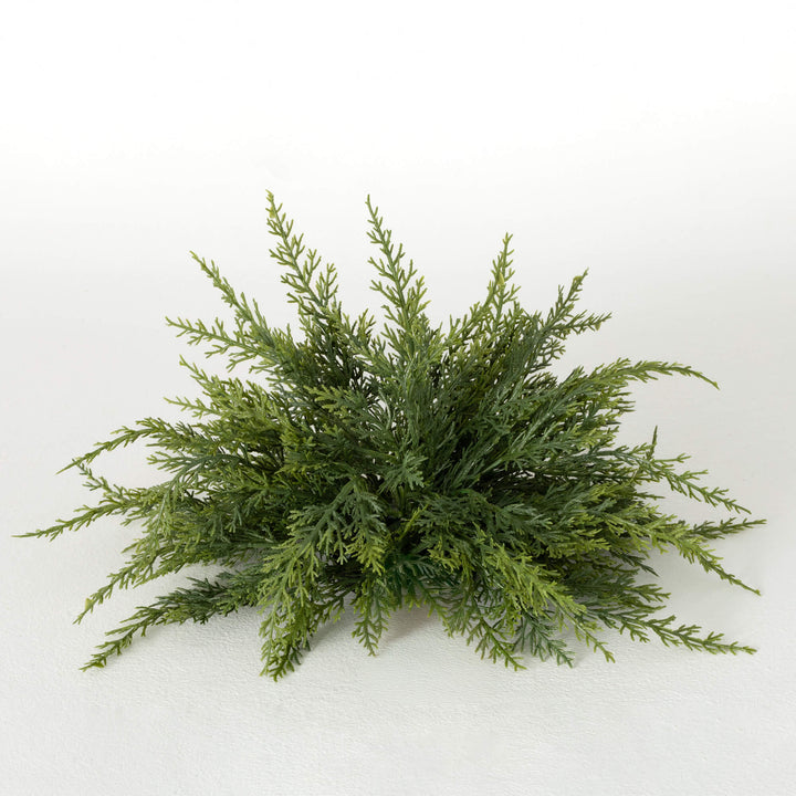 Cedar Orb