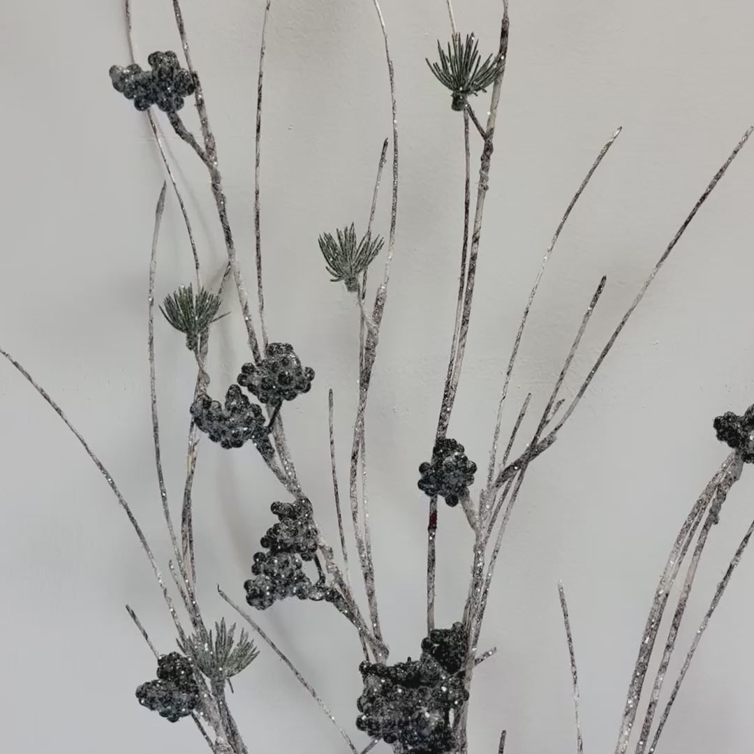 Birch & Pine Collection