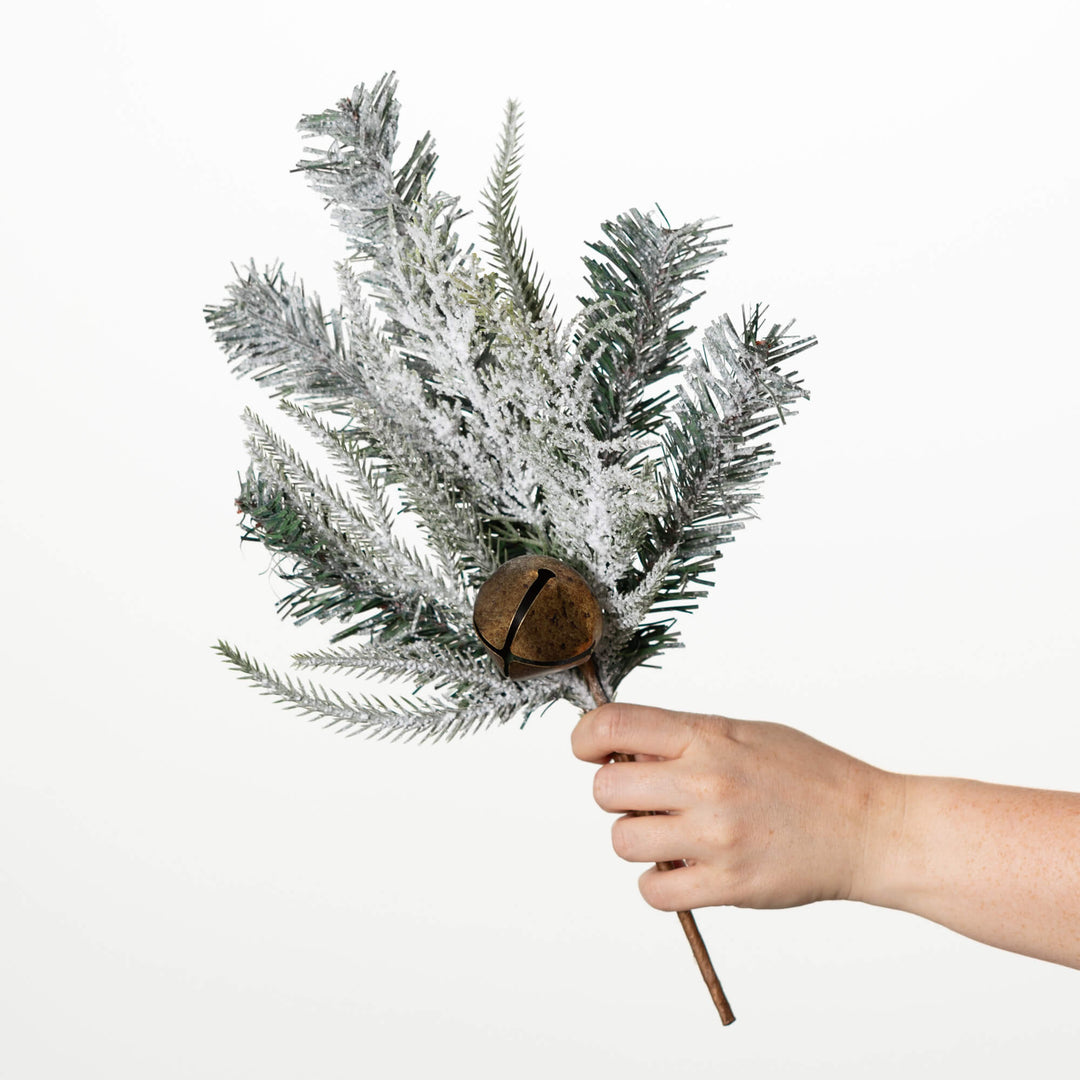 Pine Bell Collection
