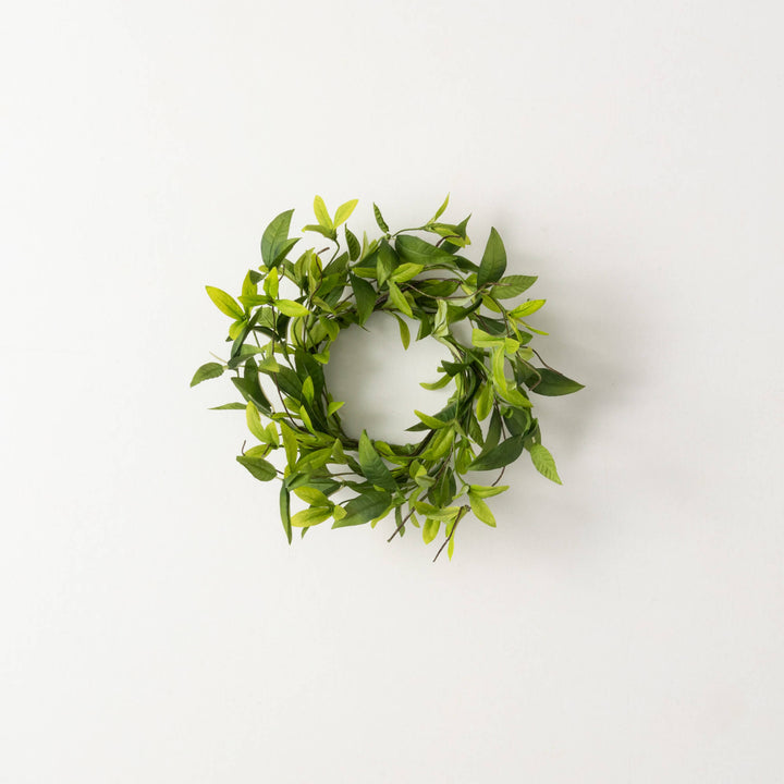 Ruscus & Twig Collection