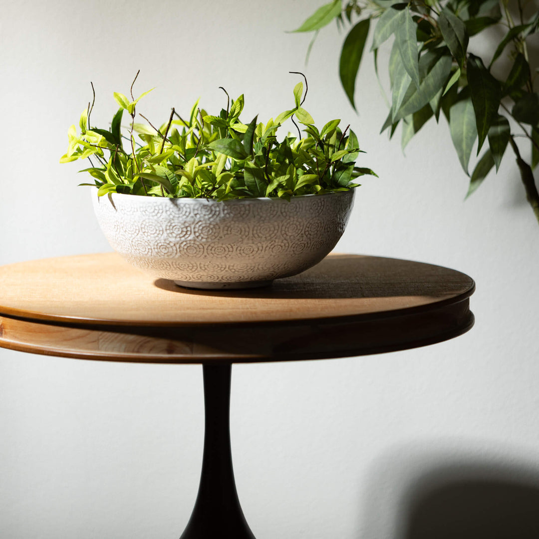 Ruscus & Twig Collection