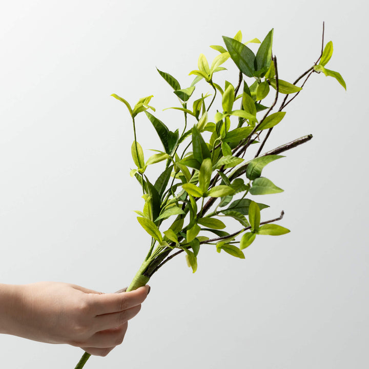 Ruscus & Twig Collection