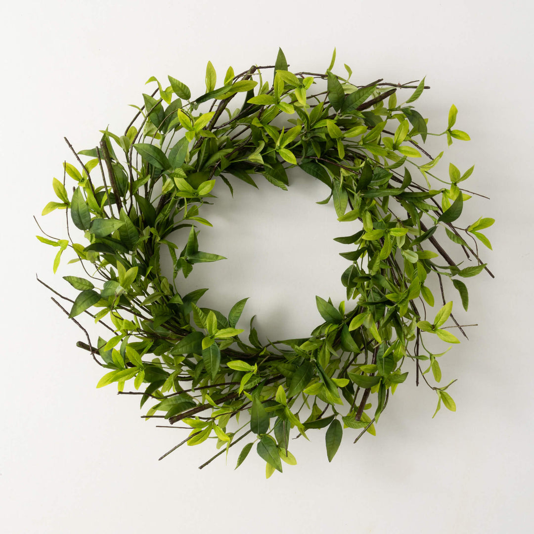 Ruscus & Twig Collection