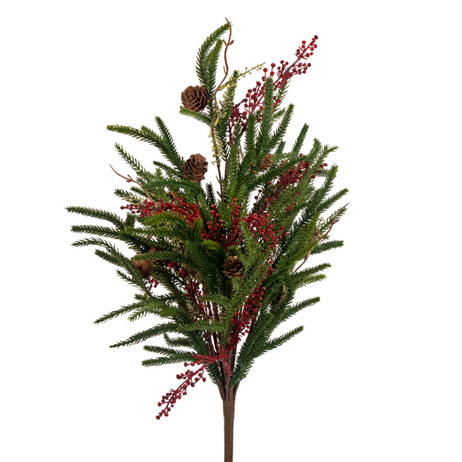 Norfolk Pine with Berry Collection