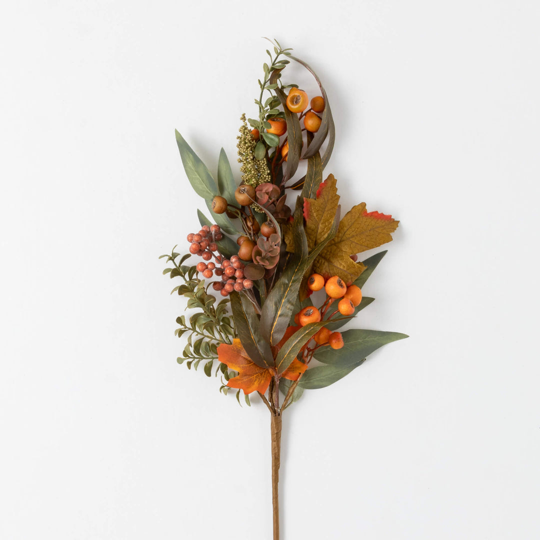 Mixed Fall Collection