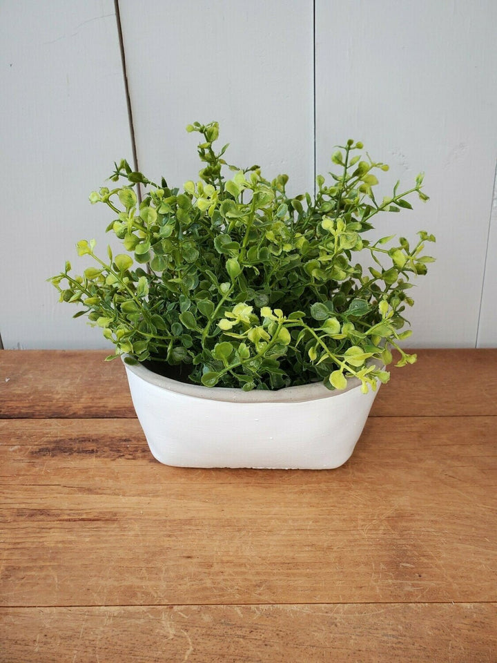 Half Orb- Baby Grass