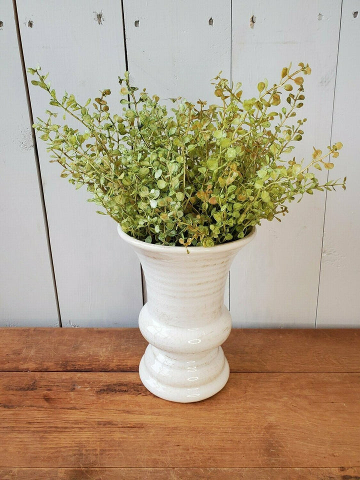 Light Baby Grass Stem