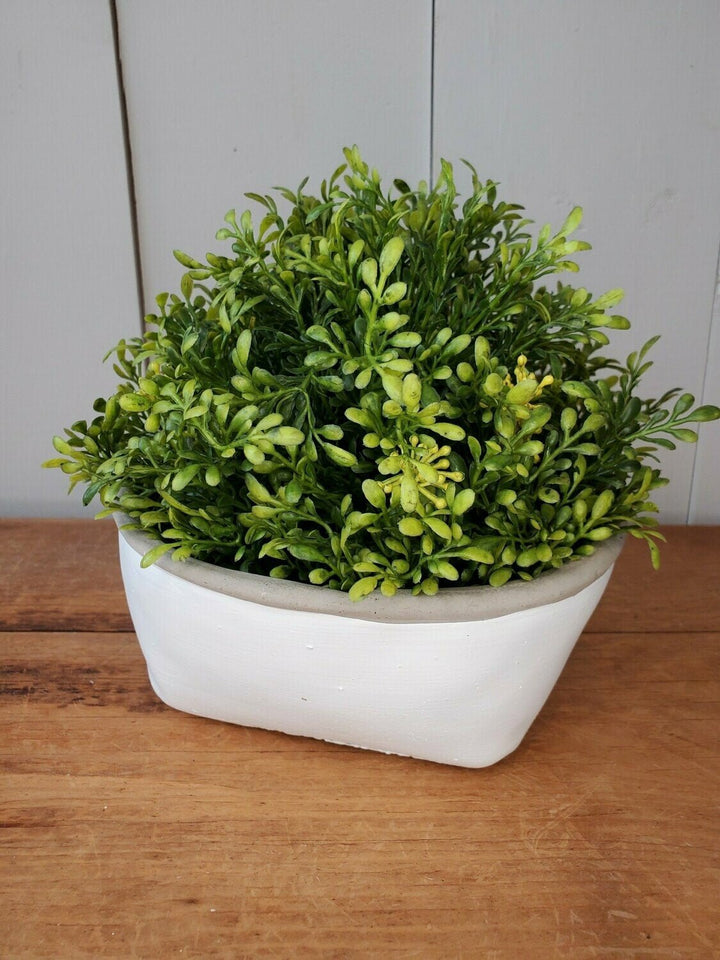 Half Orb - Tea Leaf