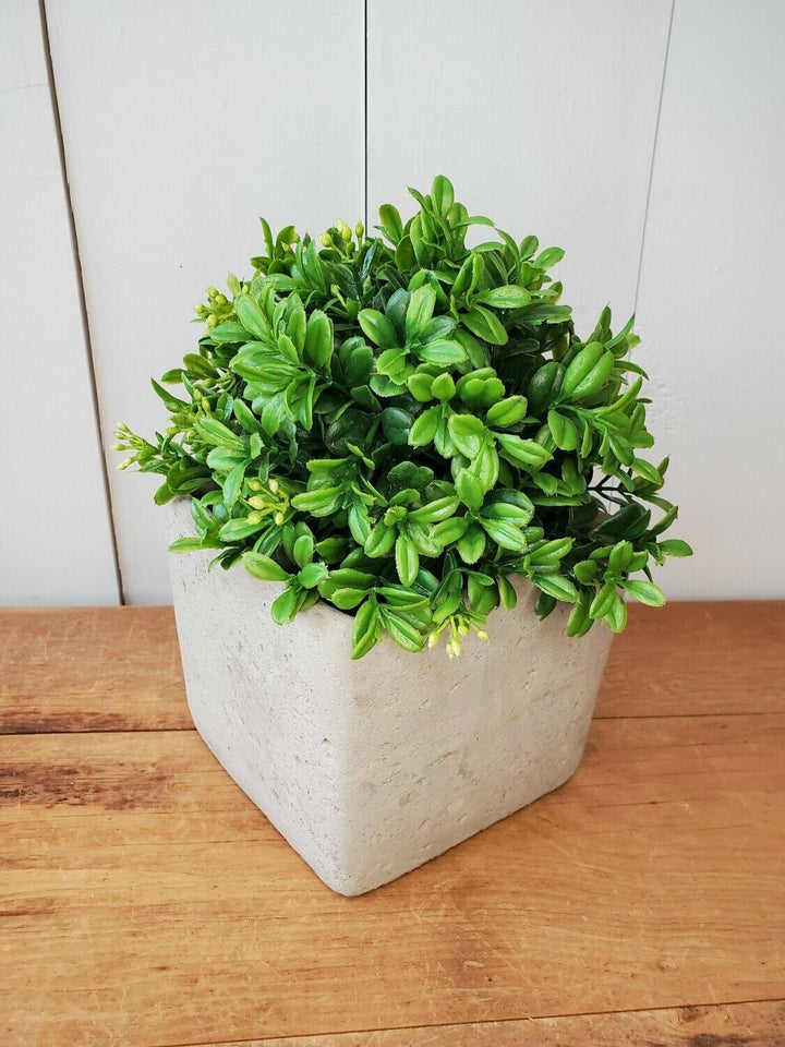 Half Orb - Boxwood