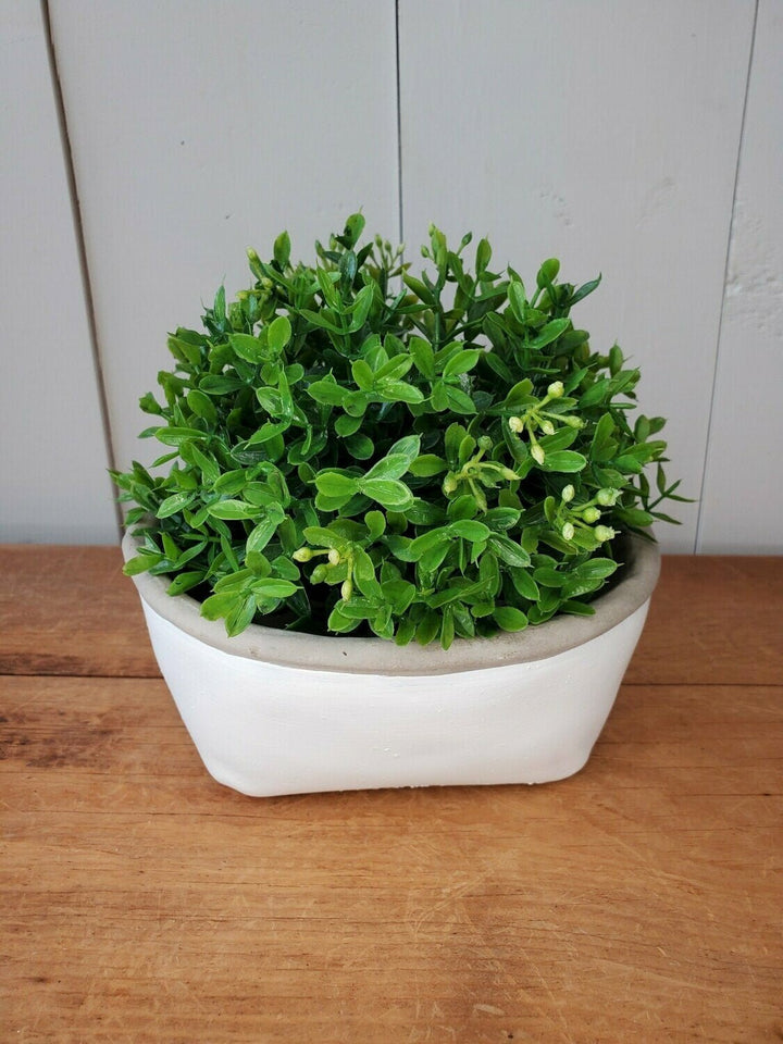 Half Orb - Mini Boxwood