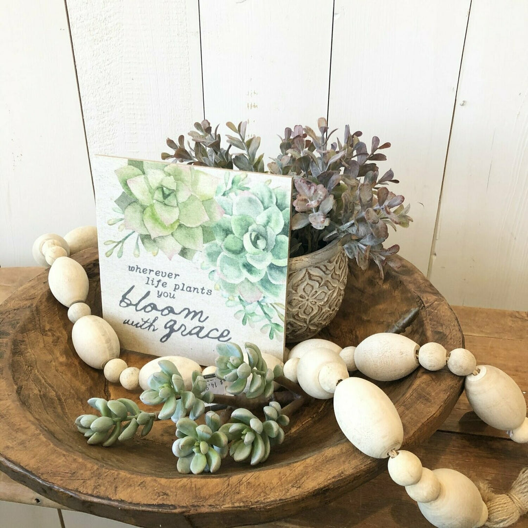 dough bowl succulents Round Dough Bowl – Prairie in Bloom