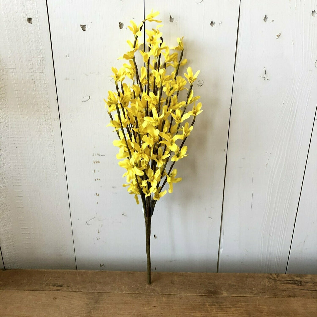 Yellow Forsythia Bush