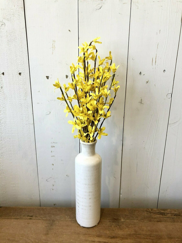 Yellow Forsythia Bush