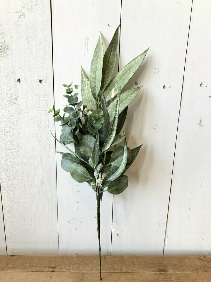 California Eucalyptus-Large