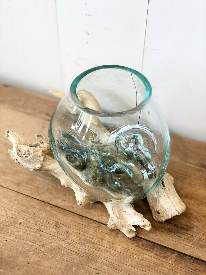 Glass Vase on Wooden Driftwood Base