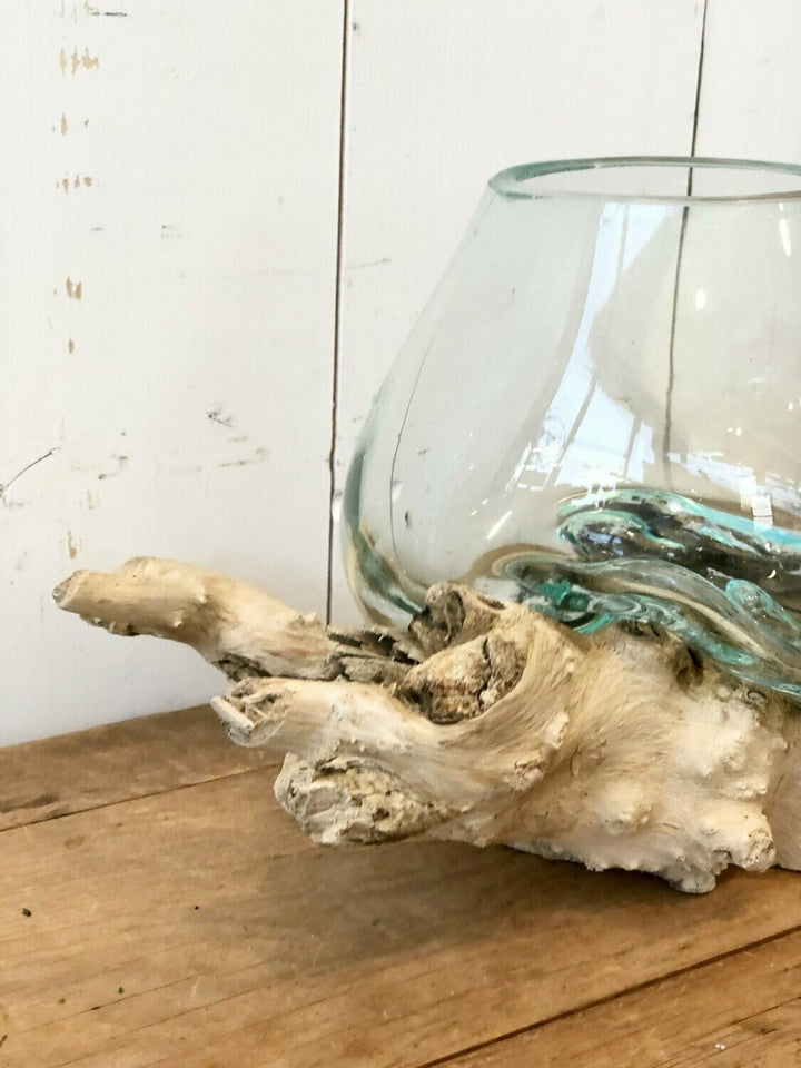 Glass Vase on Wooden Driftwood Base