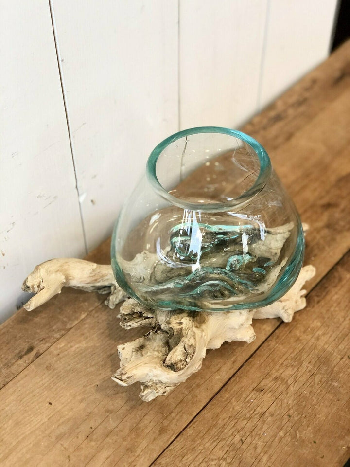 Glass Vase on Wooden Driftwood Base