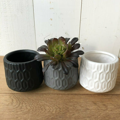 Mini Pot Set of 3