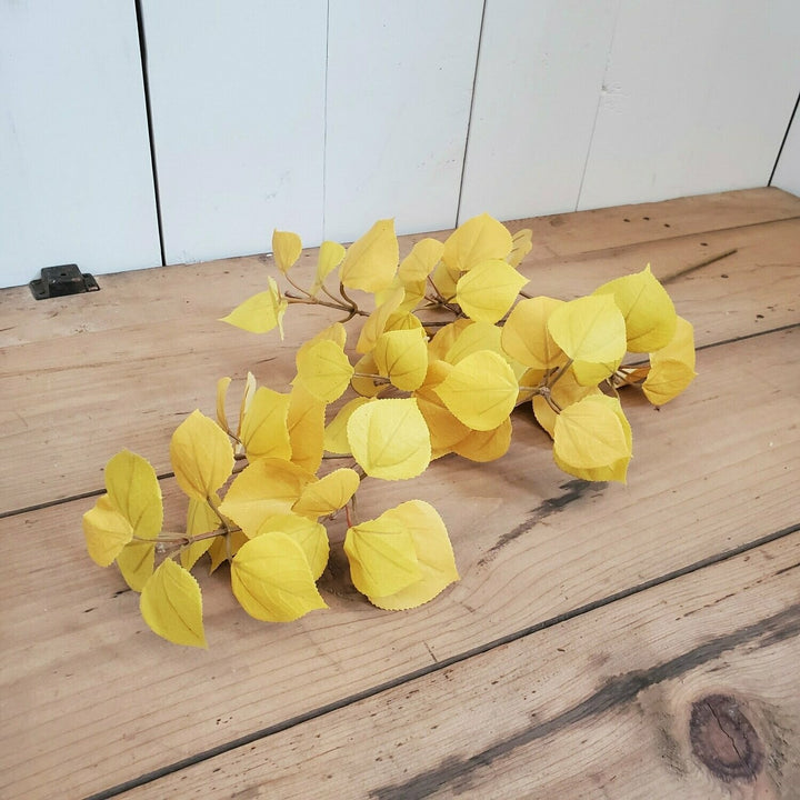 Yellow Aspen Leaves