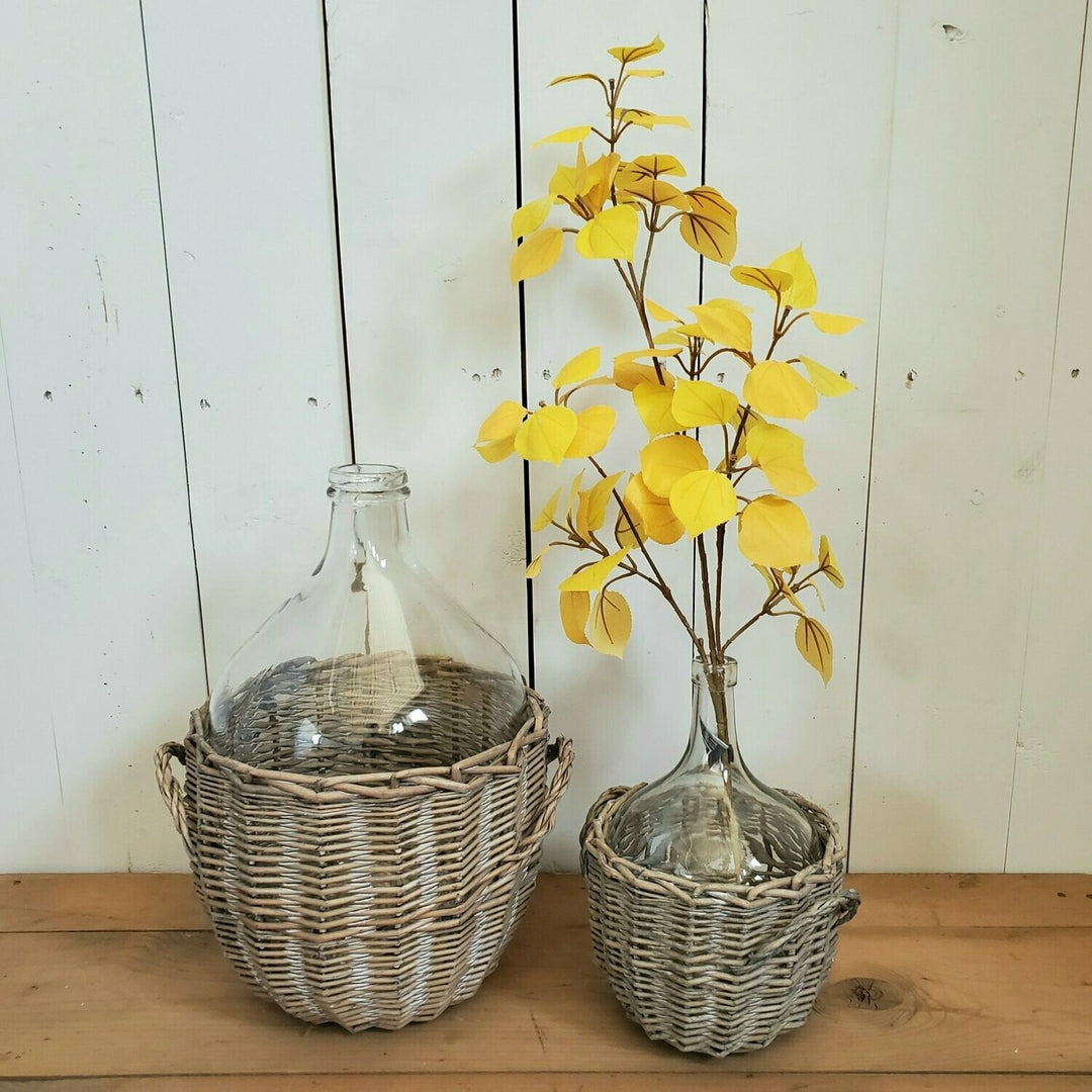 Yellow Aspen Leaves