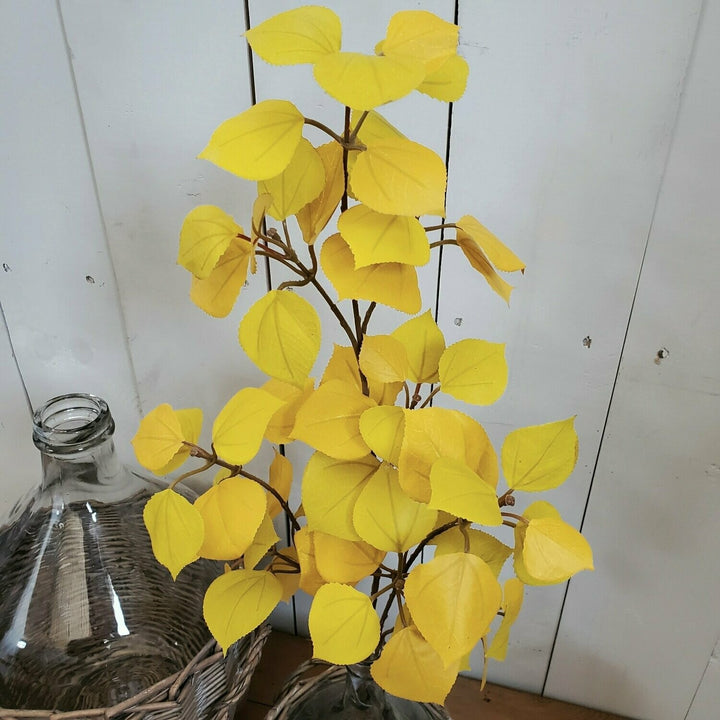 Yellow Aspen Leaves