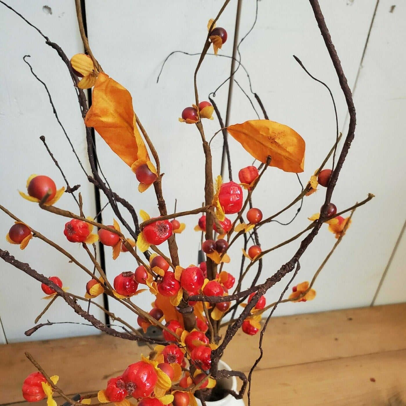 Bittersweet Stem