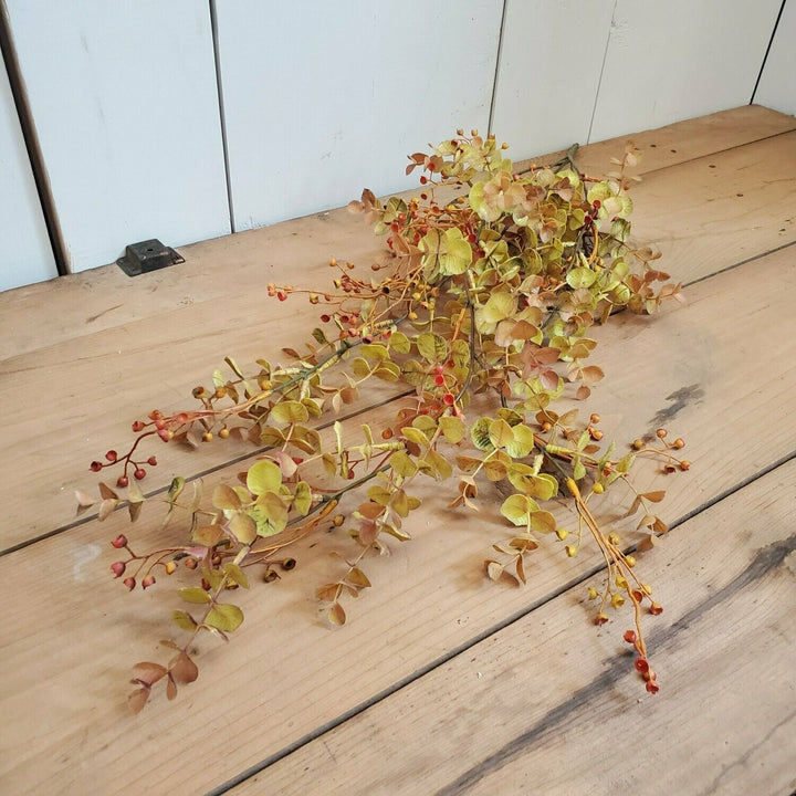 Harvest Eucalyptus Vine