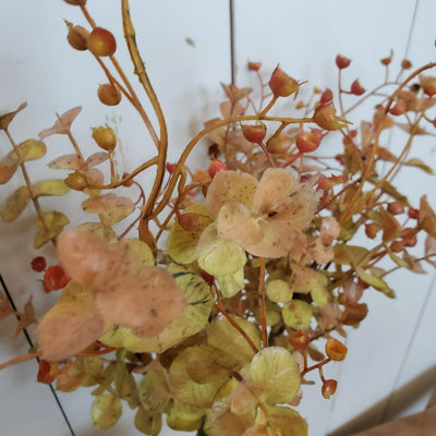 Harvest Eucalyptus Stem