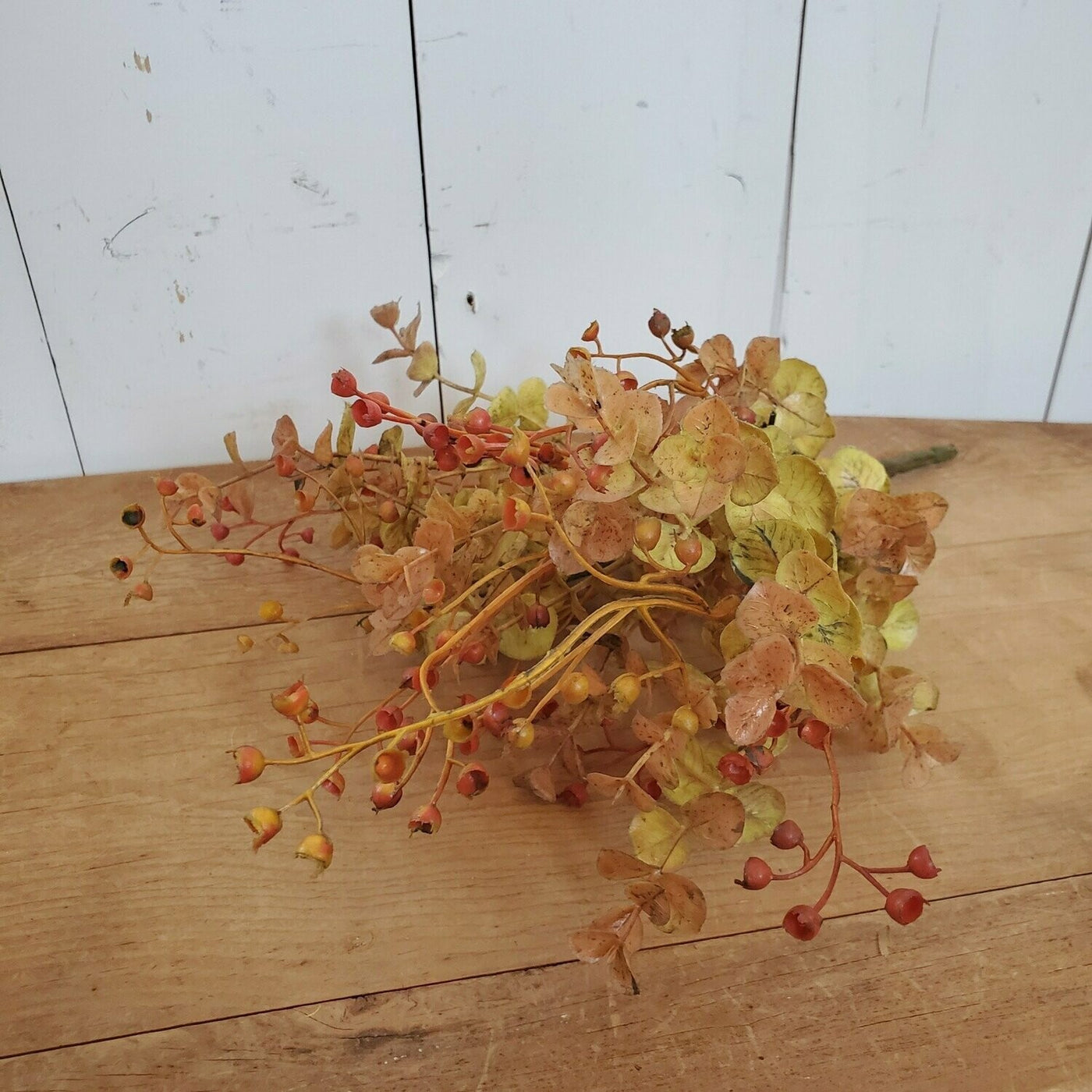 Harvest Eucalyptus Stem
