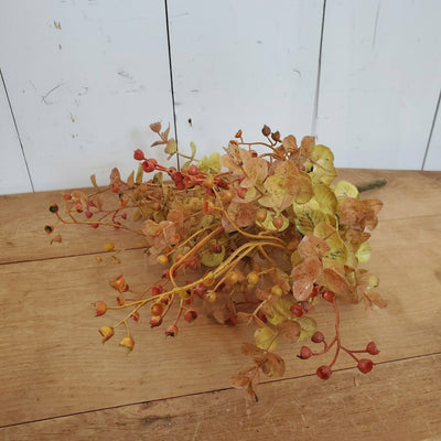 Harvest Eucalyptus Stem