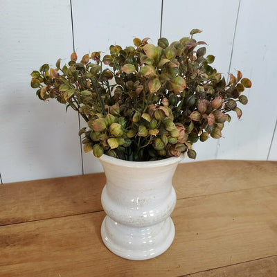 Cream Vases