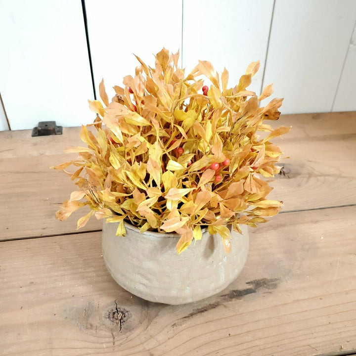Lovage Half Orb