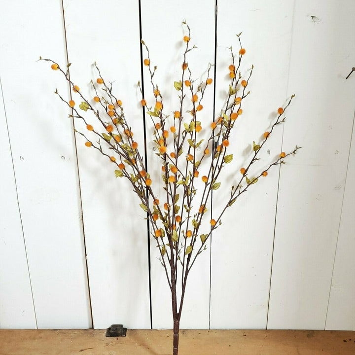 Pussywillow Bush