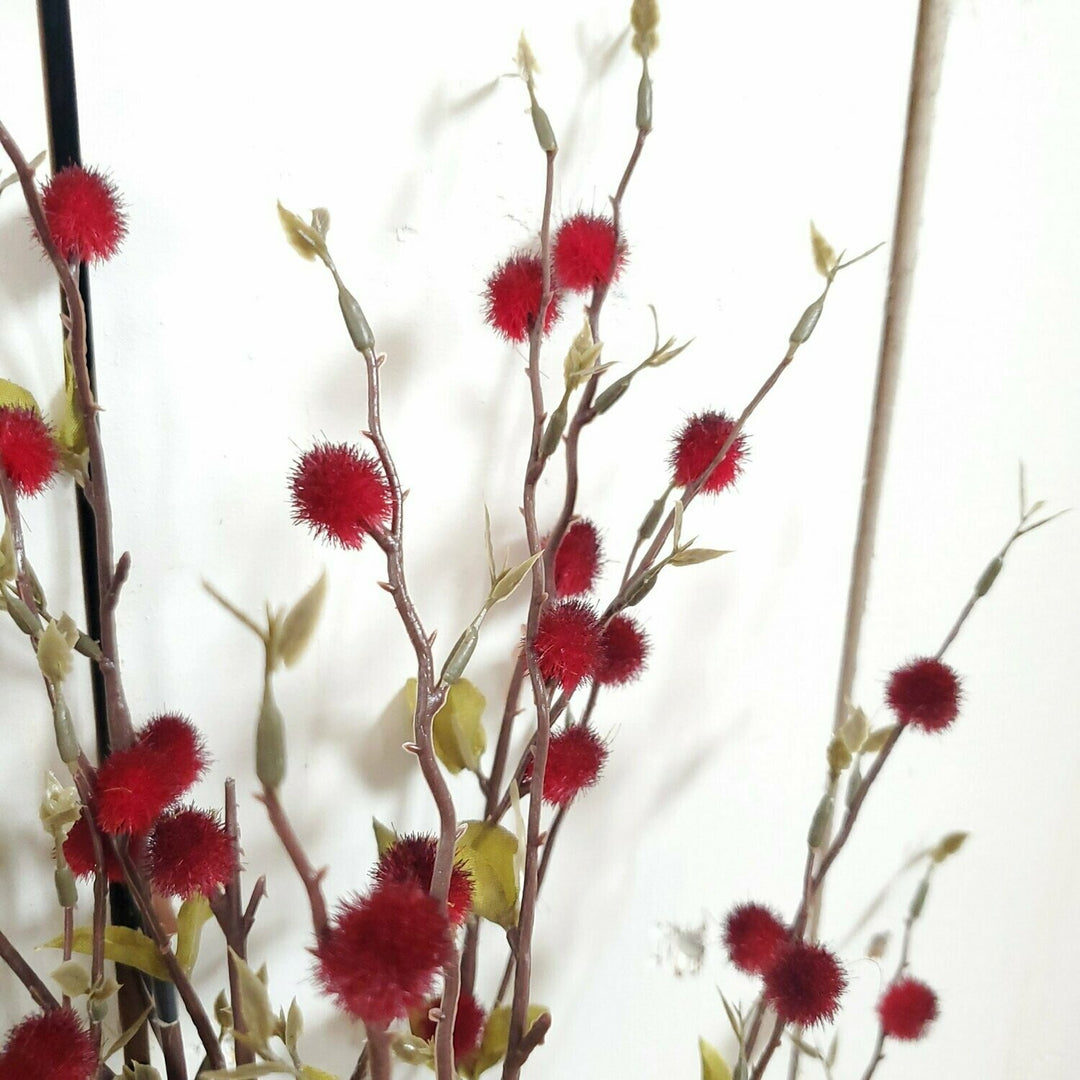Pussywillow Bush