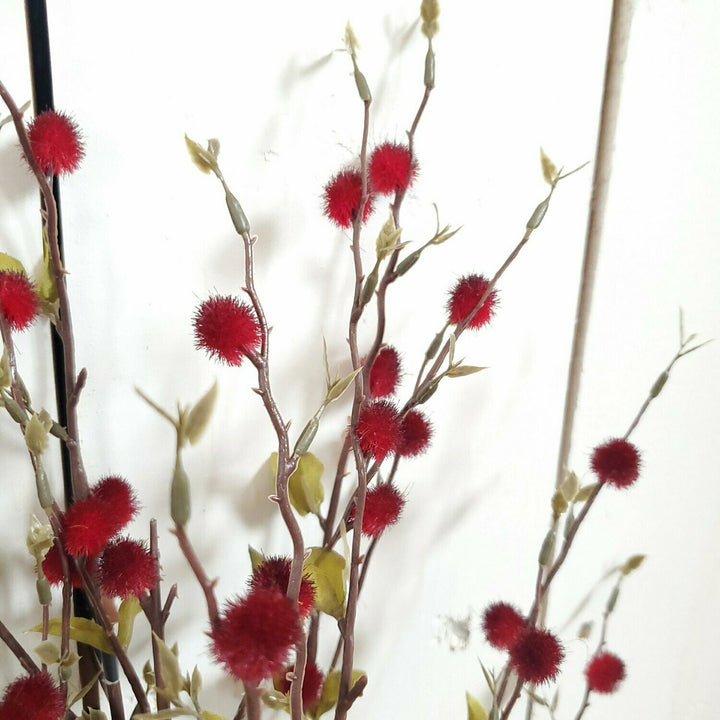 Pussywillow Bush