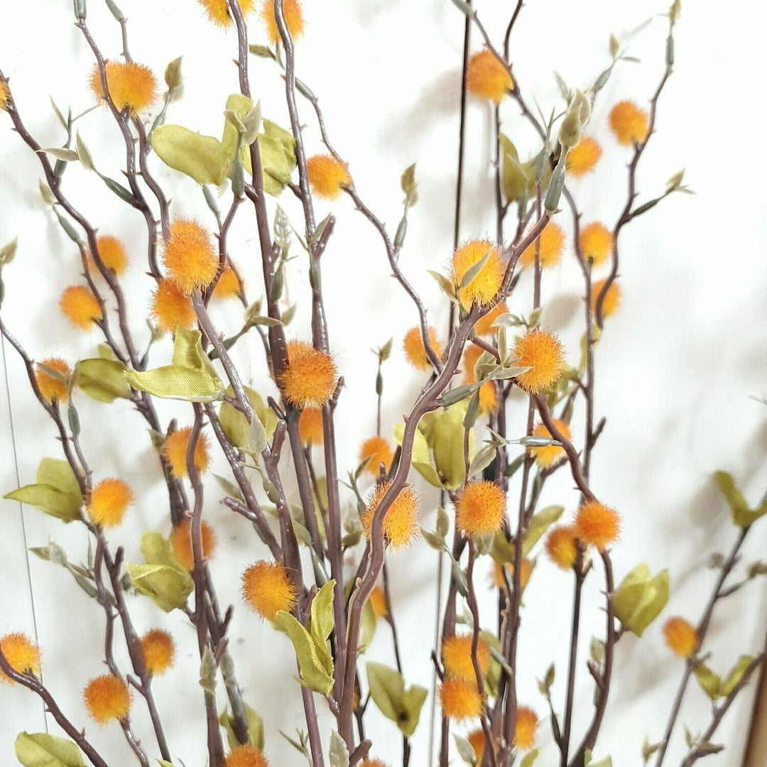 Pussywillow Bush