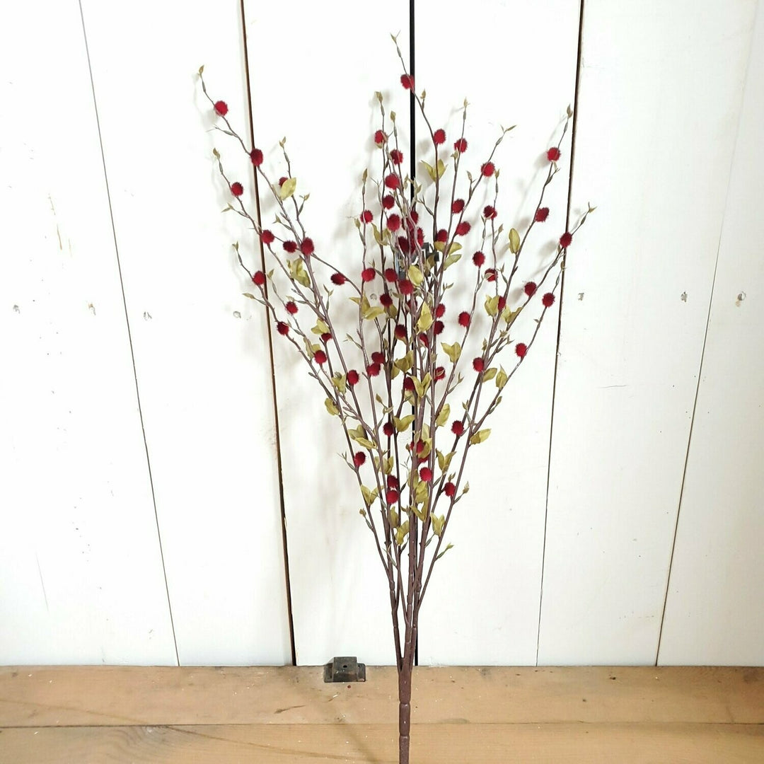 Pussywillow Bush