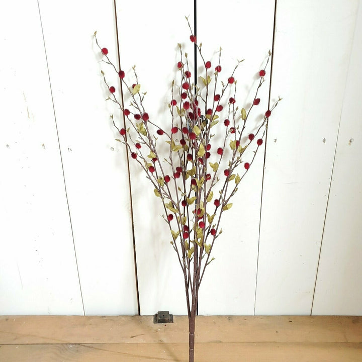 Pussywillow Bush