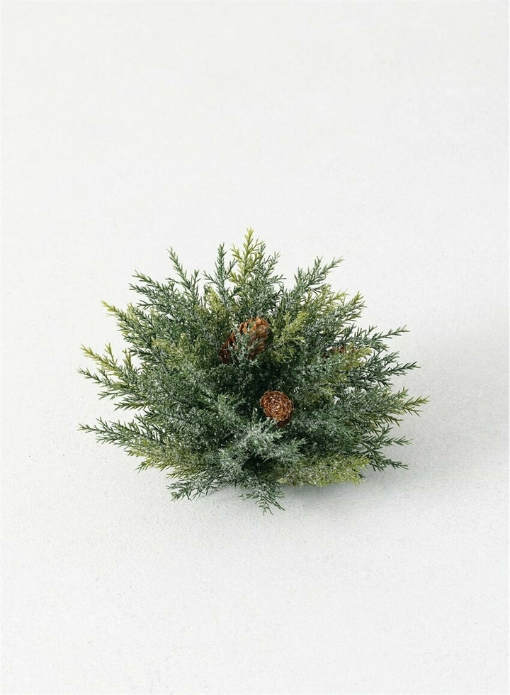 Frosted Arborvitae Orb