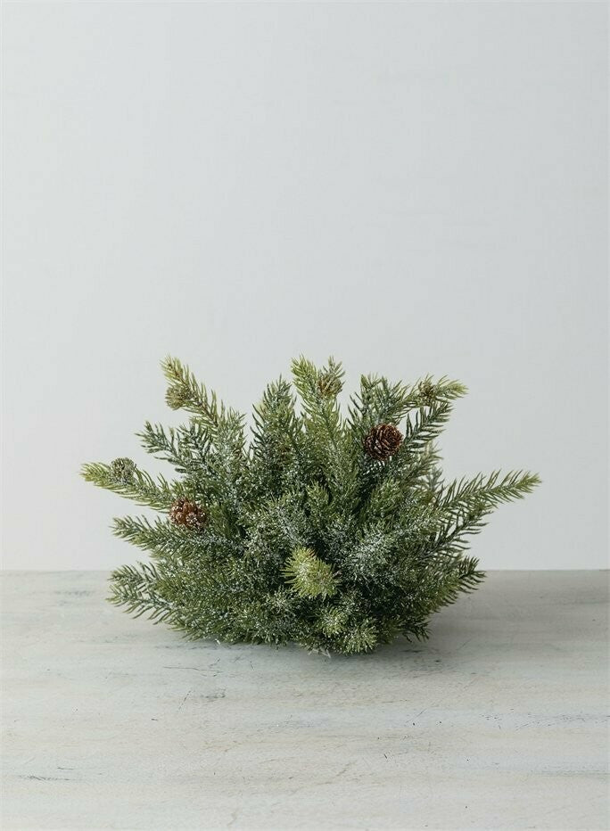 White Spruce Orb