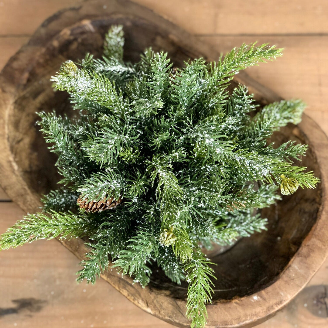 White Spruce Orb