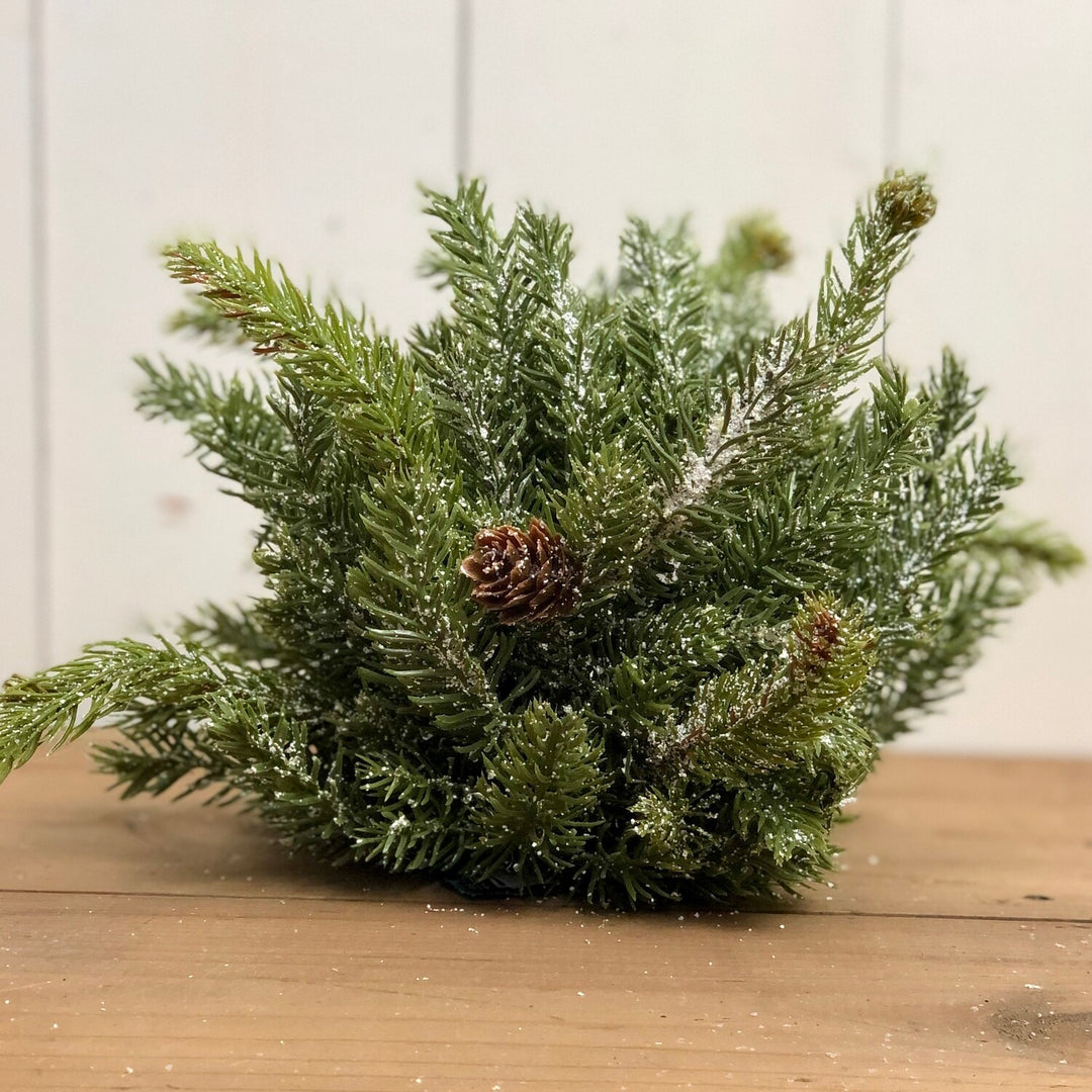 White Spruce Orb