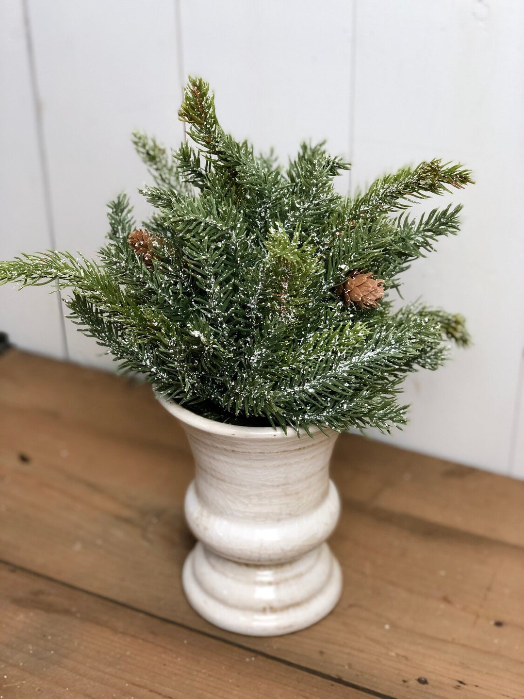 White Spruce Orb