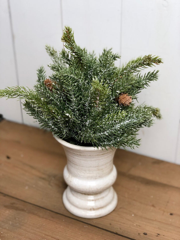 White Spruce Orb