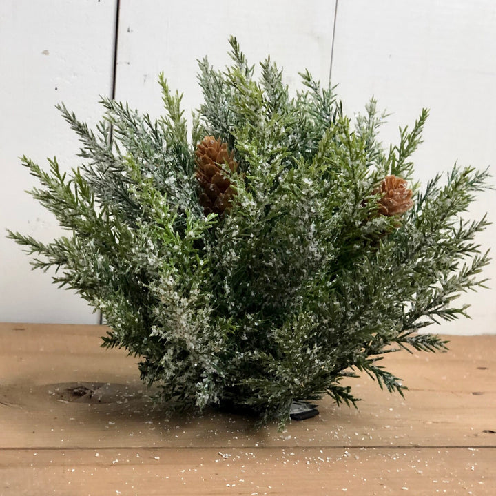 Frosted Arborvitae Orb