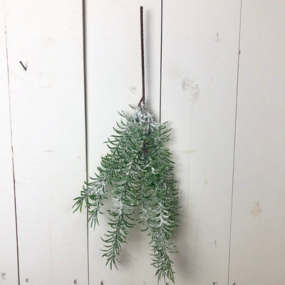 Frosted Pine Spray