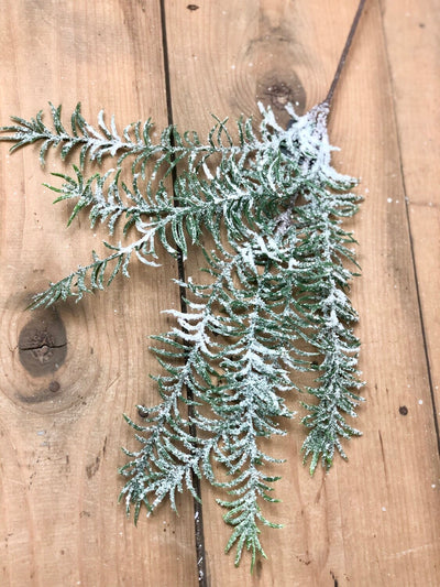 Frosted Pine Spray
