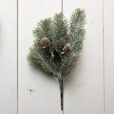 Frosty Pine Stems